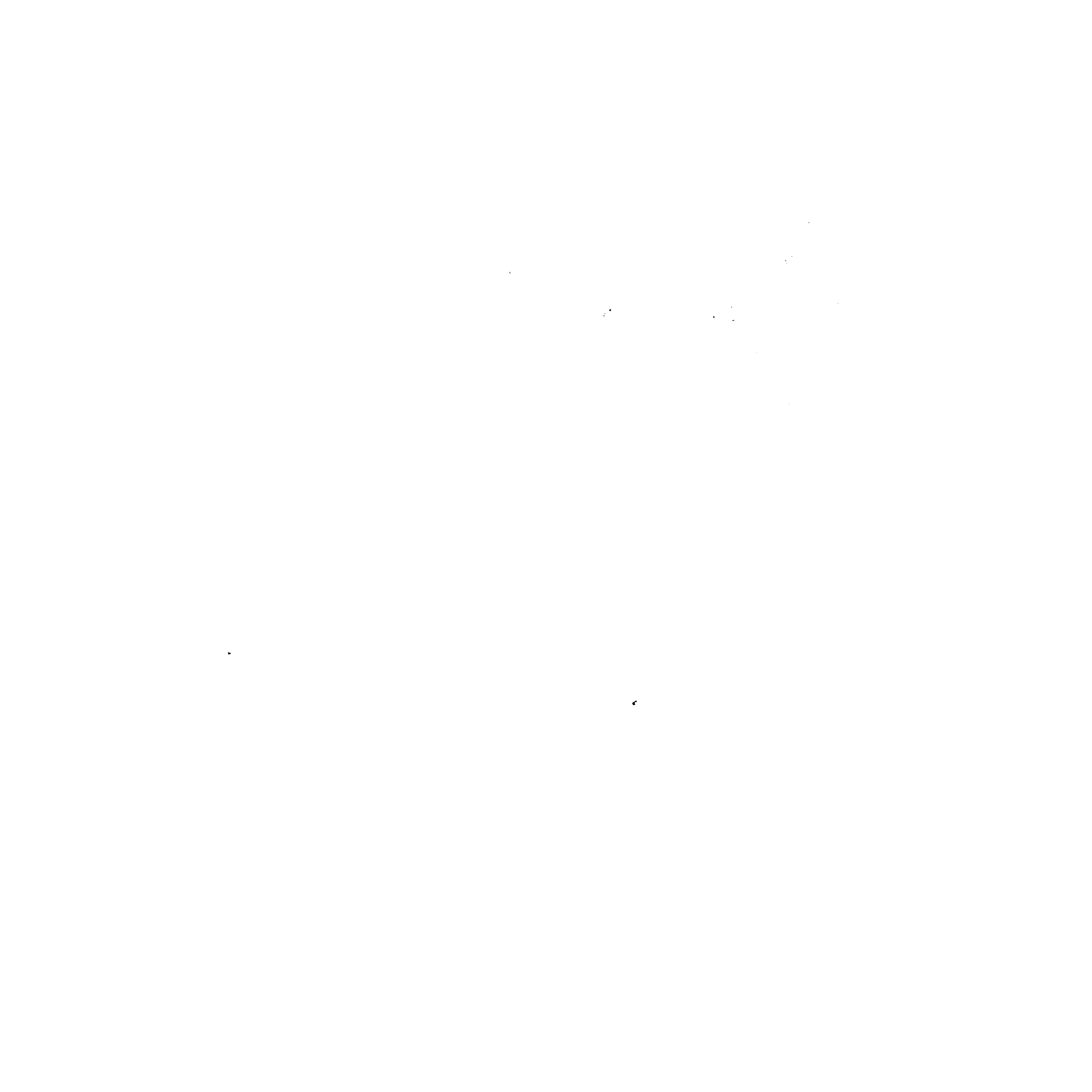 Womens Secondary logo-WHITE-Matt gimp-2026-January website